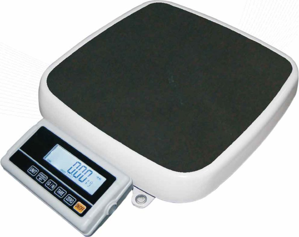 CSF Compact Heavy Weighing Scale